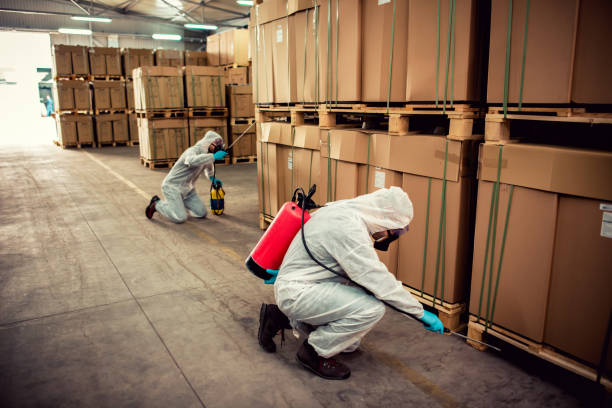 Best Emergency Pest Control  in Beaver Creek, TX