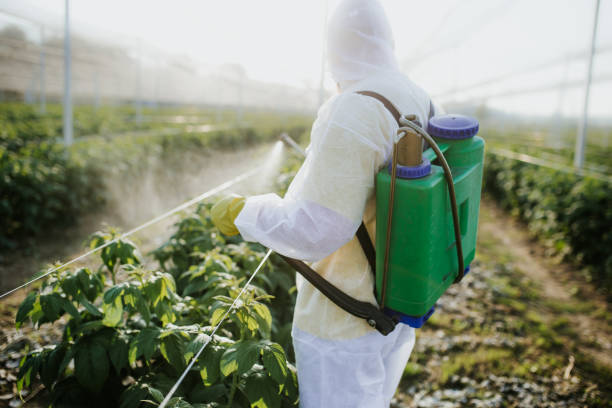 Best Residential Pest Control  in Beaver Creek, TX